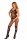 LC Saphi bodystocking black